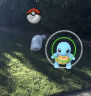 pokemongo pokemongo Most Surprising and Funny Google Search Terms in 2017 pokemongo